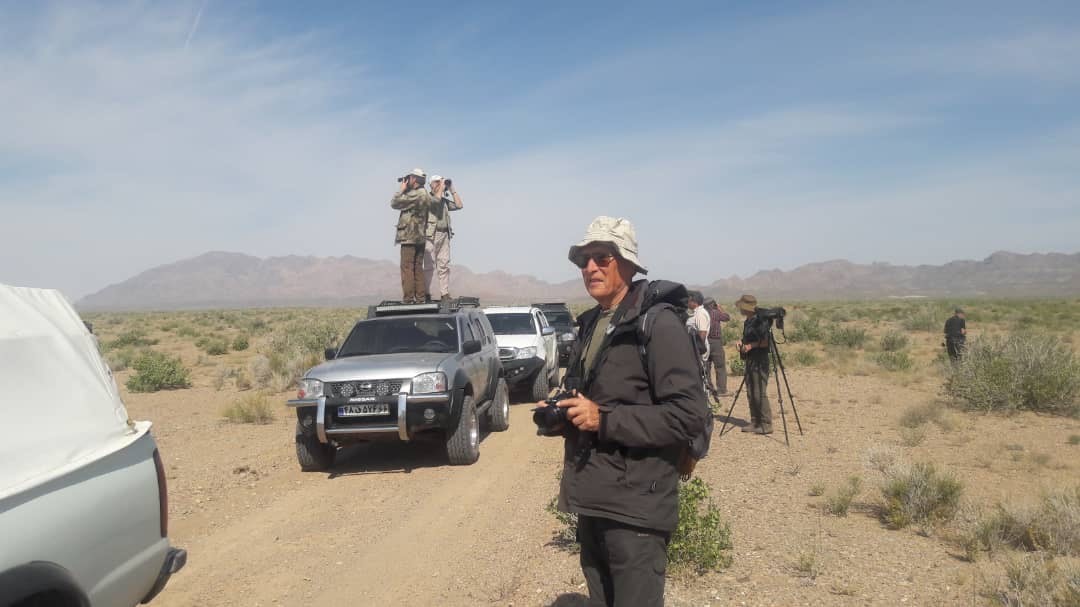 Bird Watching Tours